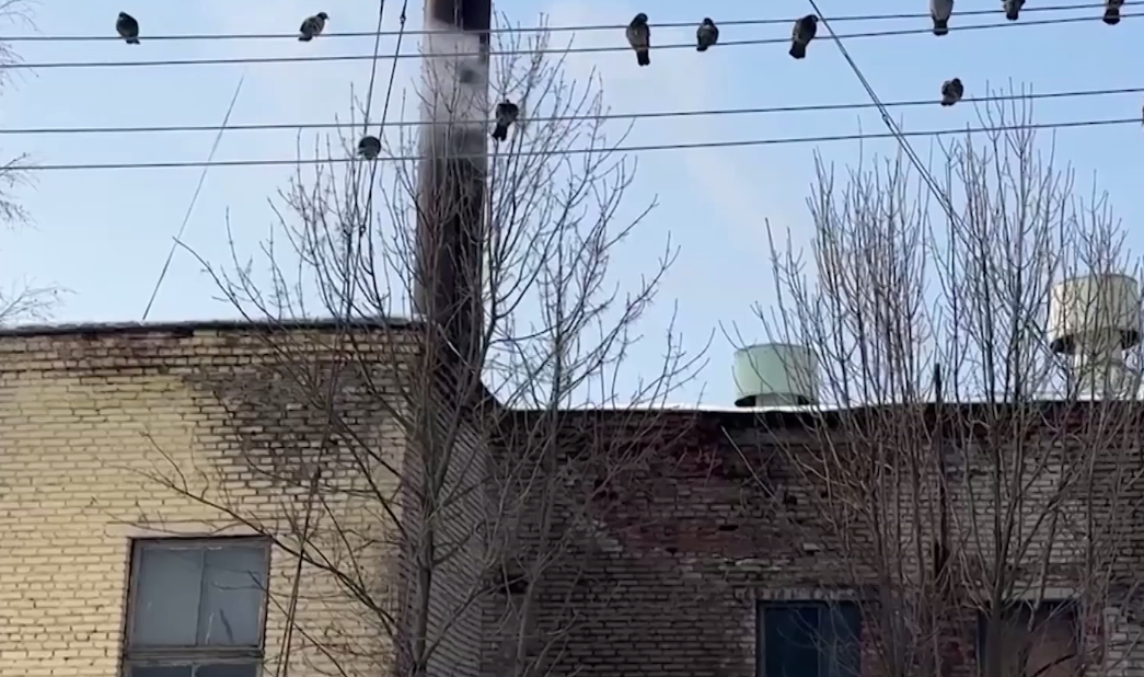 В Ростове Великом запускают обновленную котельную