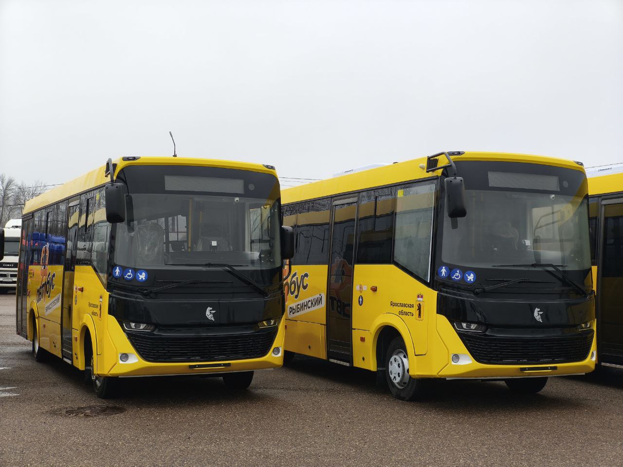 В Ярославль поступила партия новых автобусов: регион продолжает масштабное обновление транспорта