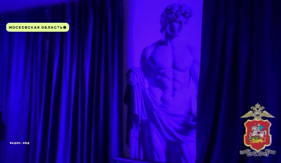 19-летнюю ярославну задержали в Подмосковье за оказание услуг интимного характера