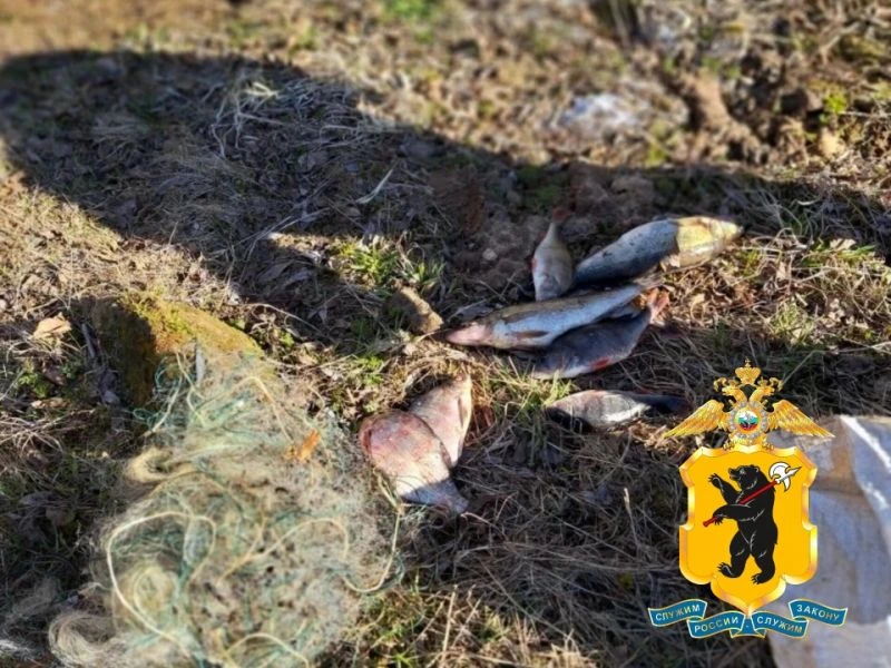 В Гаврилов-Ямском районе пенсионера будут судить за незаконный вылов рыбы