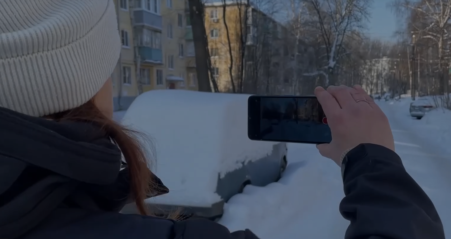 Стало известно, как проходит отлов бродячих собак в Ярославле