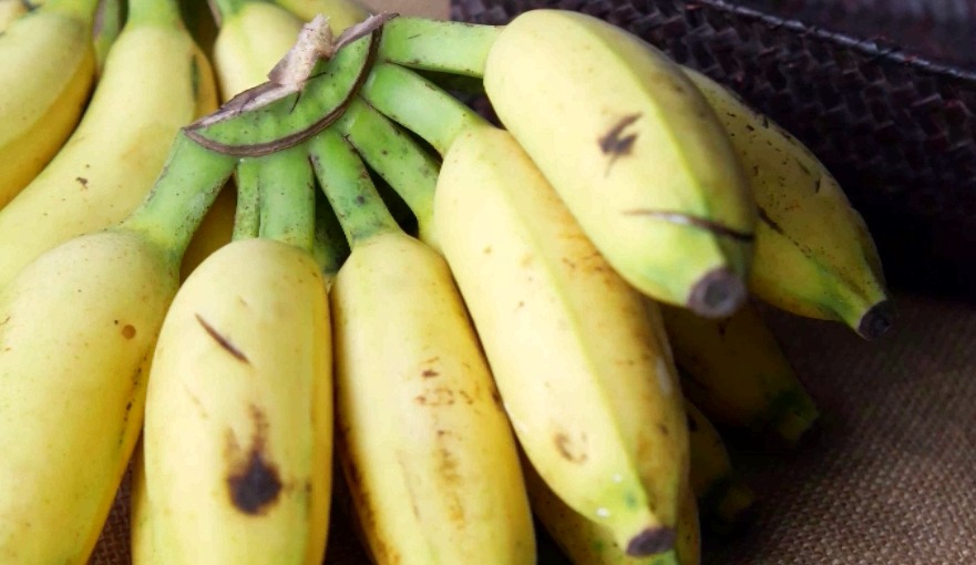 Ярославцам сообщили о введении ГОСТа на бананы длиной от 14 см