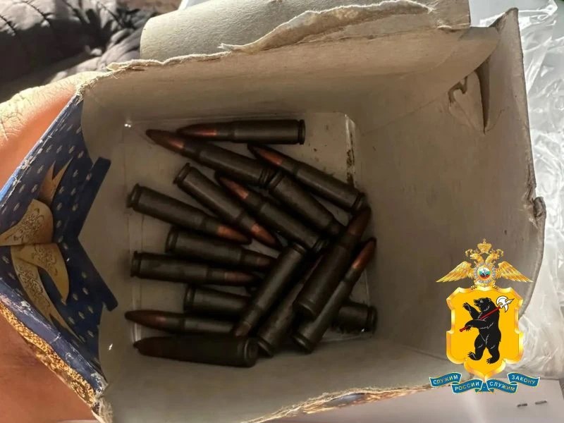У 59-летнего жителя Ярославской области изъяли три банки с порохом и боеприпасы