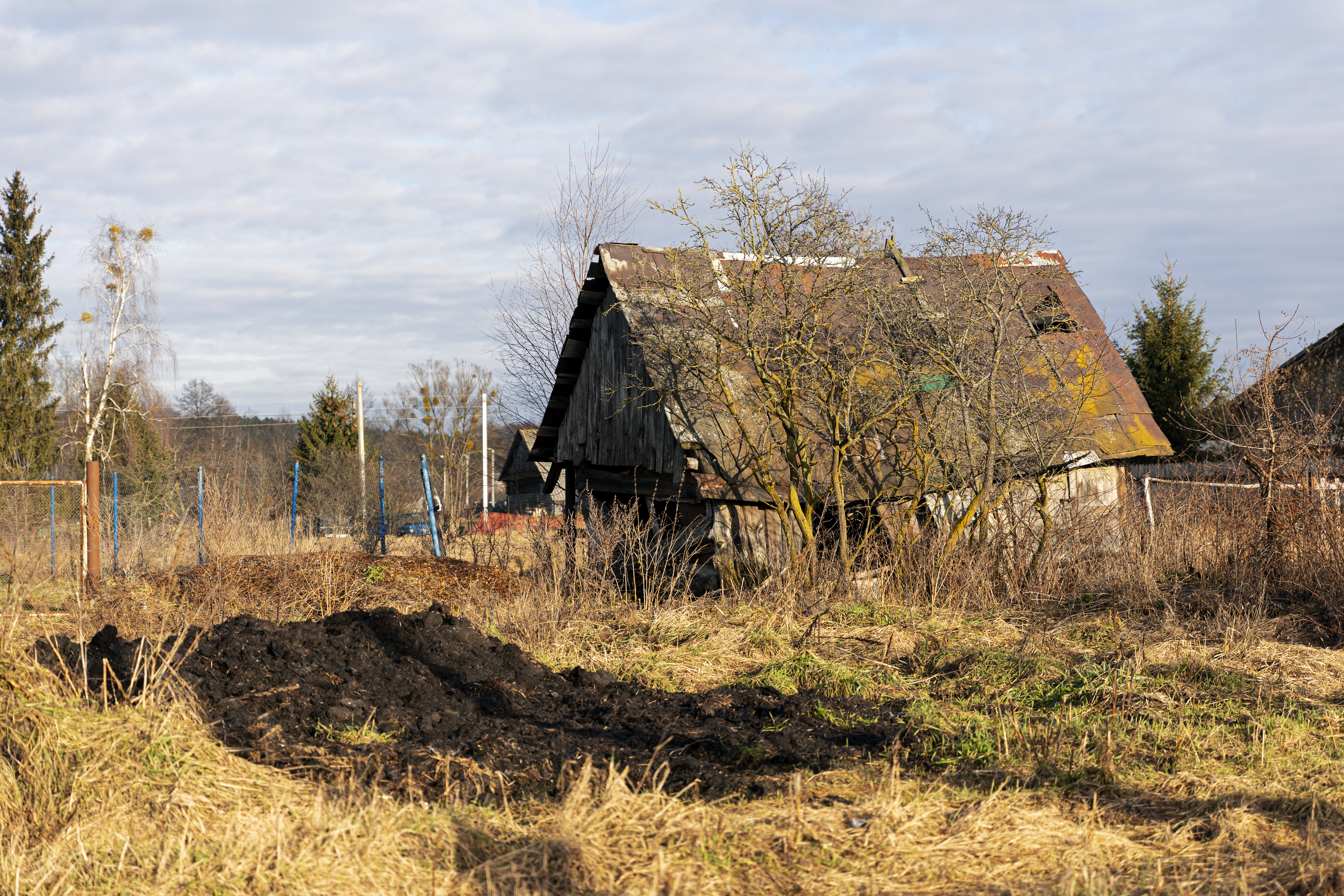 Стало известно об успехах казачьей бригады имени Платова на СВО в районе села Каленики в ДНР