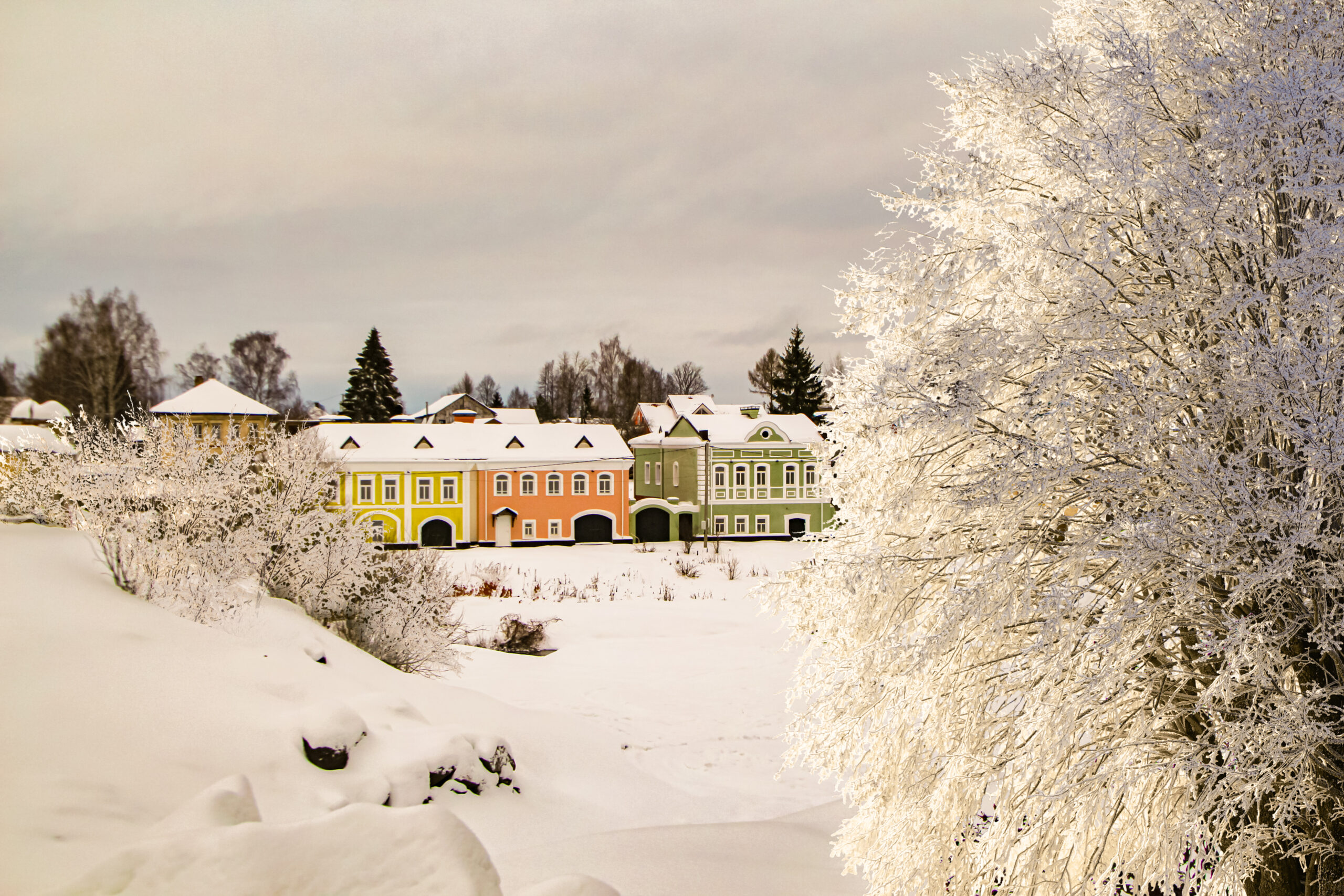Ярославская область в числе регионов – лидеров по количеству бронирований загородных домов на Новый год