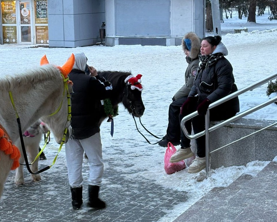 В Ярославском цирке предупредили о незаконных услугах