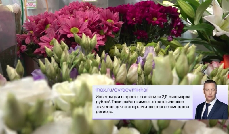 1,5 миллиона цветов из Ярославской области поступят в продажу по всей России 