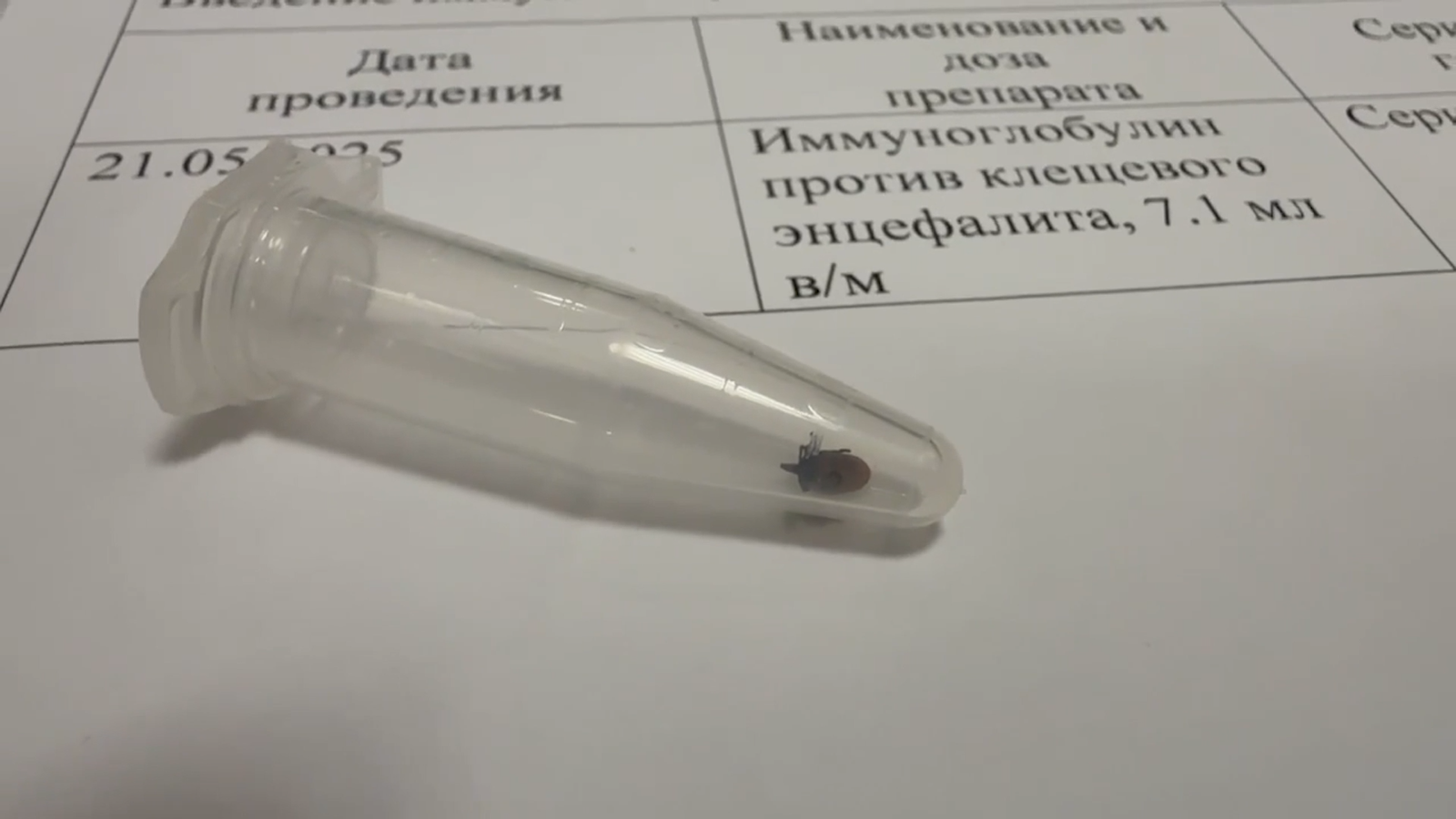 В Роспотребнадзоре по Ярославской области прокомментировали информацию о проснувшихся клещах