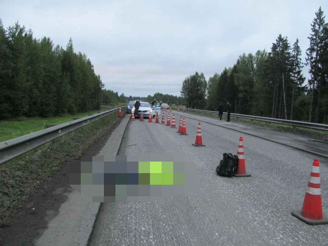 Сбившего дорожного рабочего в Некрасовском округе водителя отправят в колонию на 6,5 лет