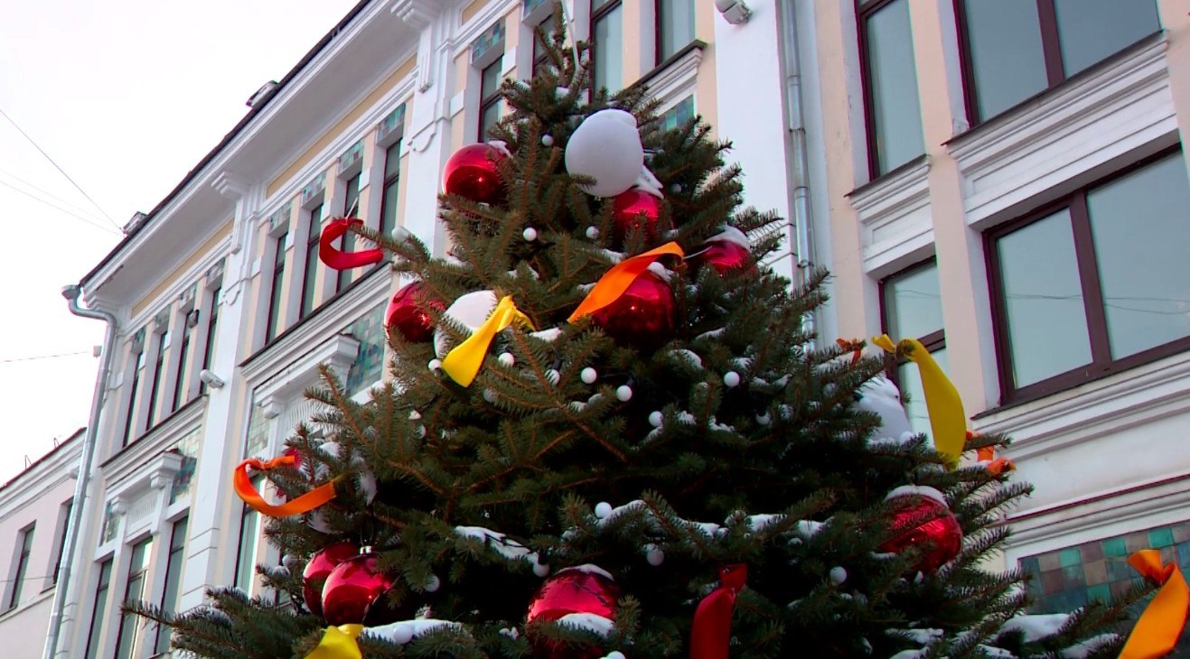 Елки в Ярославле пообещали убрать до 1 апреля