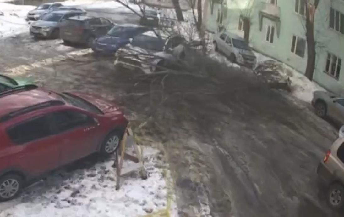 В Красноперекопском районе Ярославля из-за сильного ветра упало дерево