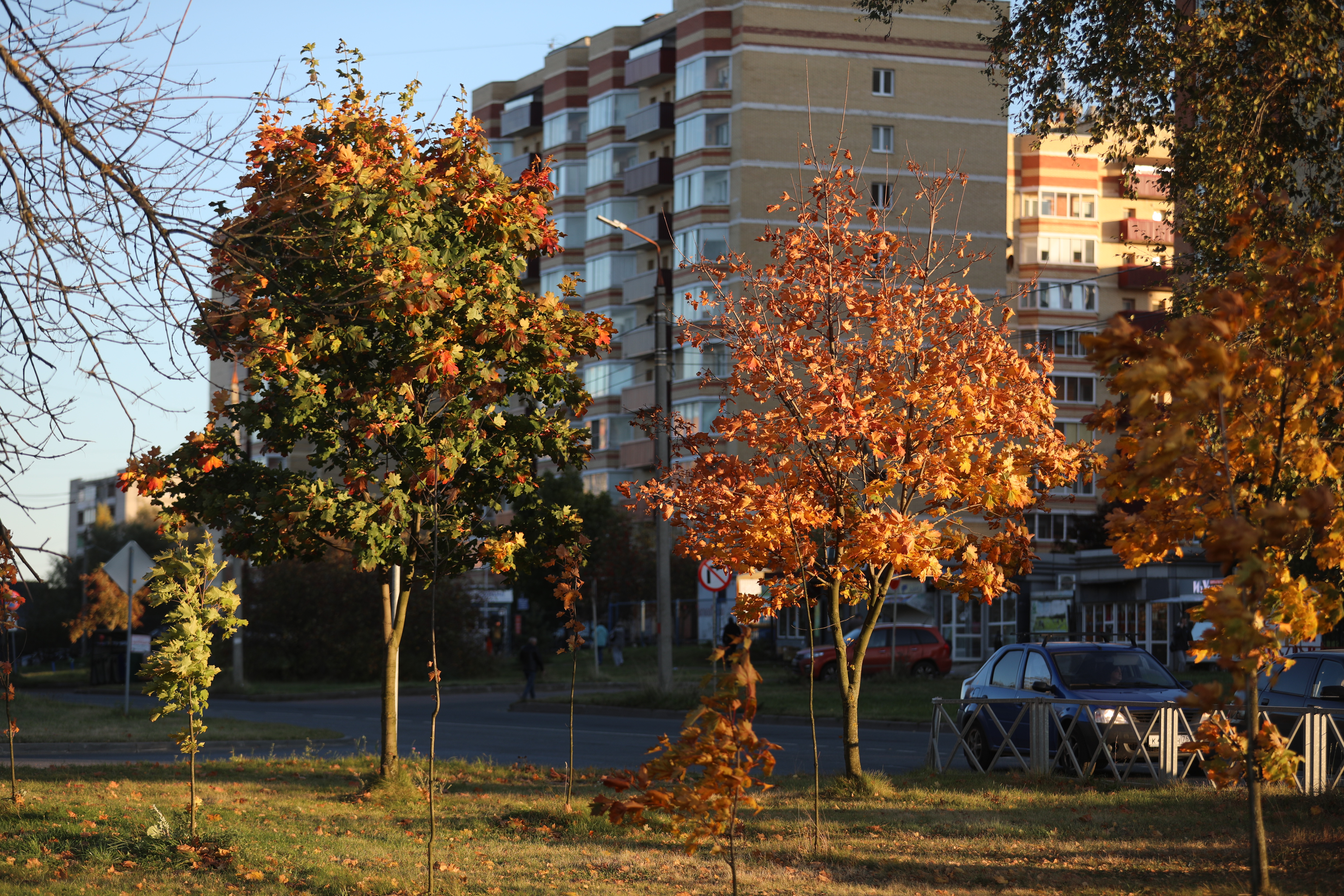 Ярославцам рассказали о введении новых правил оформления семейной ипотеки