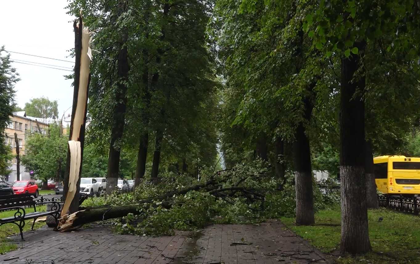 На Ярославскую область надвигается гроза и порывы ветра до 15 метров в секунду