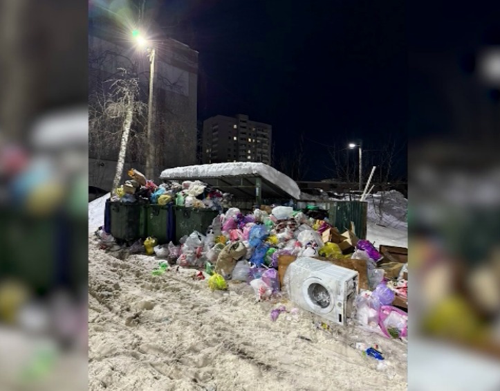 Сильный снегопад в Ярославской области спровоцировал мусорную проблему