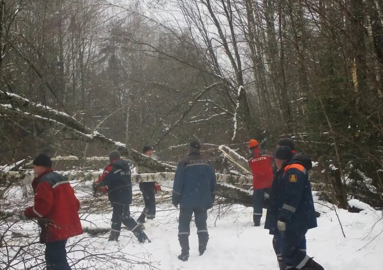 Под Переславлем-Залесским сильный ветер повалил сразу несколько деревьев