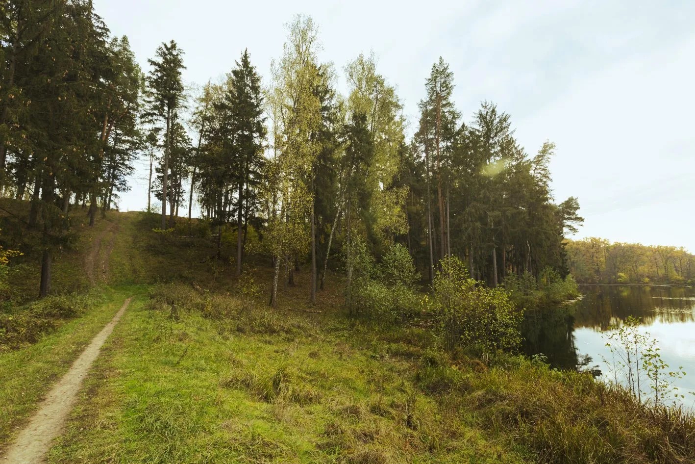 В Ярославской области объявили пожароопасный сезон: что запрещено делать в лесах