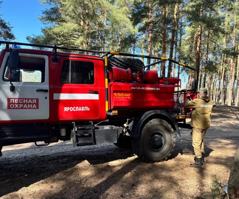 В Ярославской области объявили о введении особого противопожарного режима