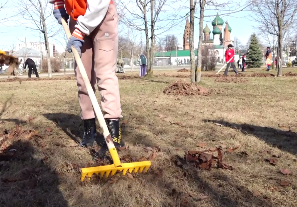 Ярославская область присоединилась к Всероссийскому субботнику