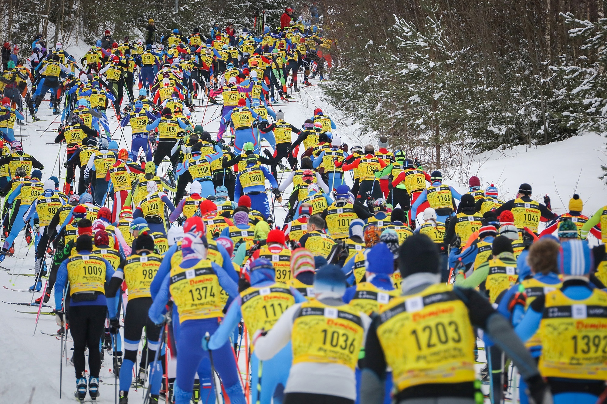 Сильнейшие лыжники страны примут участие в "Деминском марафоне"