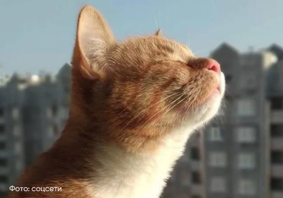 Стало известно, когда в Ярославскую область придет весна