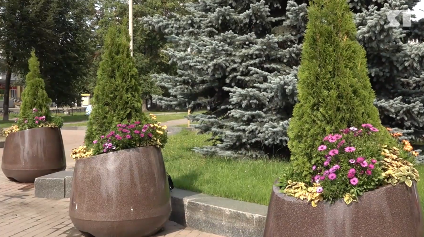 В Ярославле на улице Нахимсона планируют высадить больше деревьев и кустарников