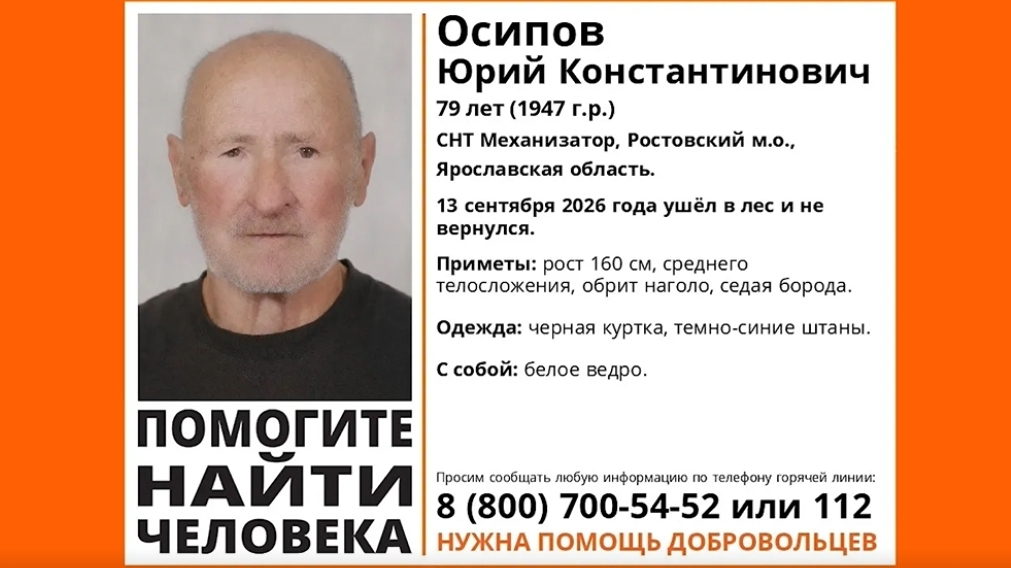В Ярославской области неделю ищут пропавшего после ухода в лес пенсионера