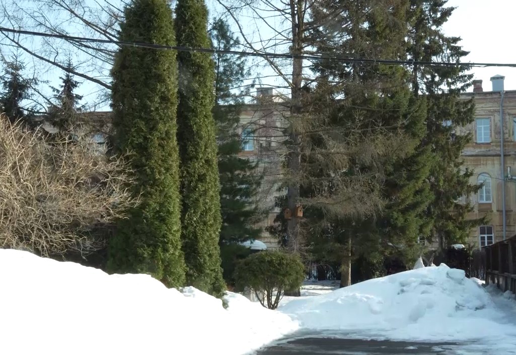 Синоптики прогнозируют рекордное потепление в Ярославской области до 14 градусов