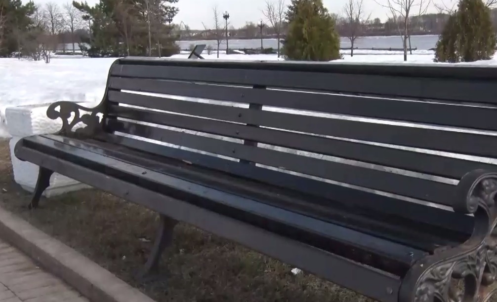 Видеонаблюдение и бесплатный интернет: Юбилейный парк в Ярославле ждет обновление