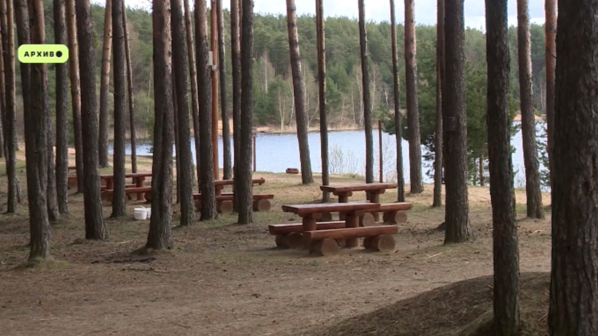 В Тутаевском округе заканчивается обработка зеленых территорий от клещей