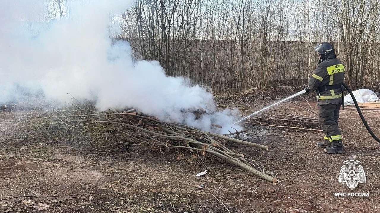 Запрет на пал травы: инспекторы МЧС выявили нарушителей в Ярославской области