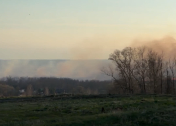 В Ярославской области за последние сутки было ликвидировано около 49 палов сухой травы