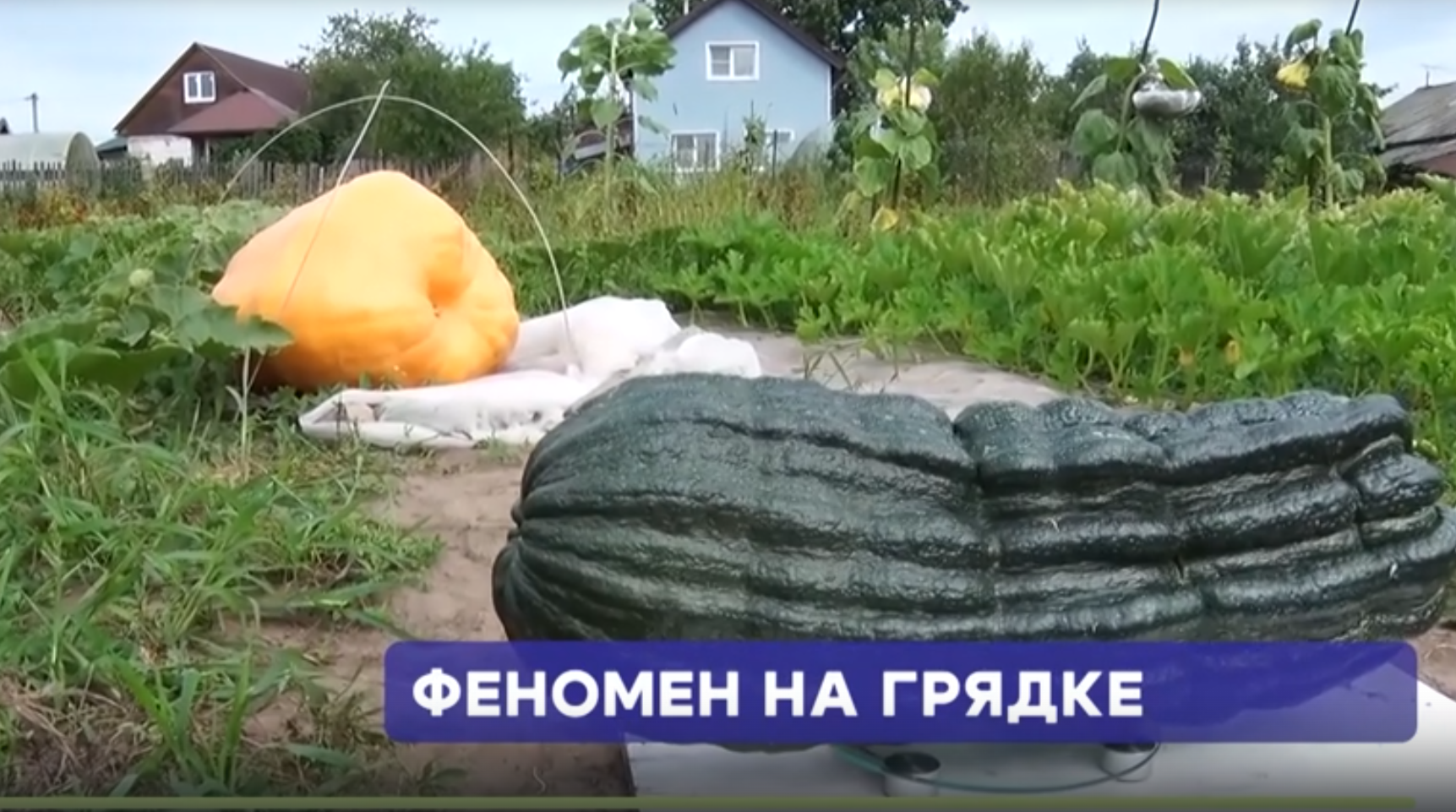 Итоги недели с Юлией Тихомировой от 23.08.2025