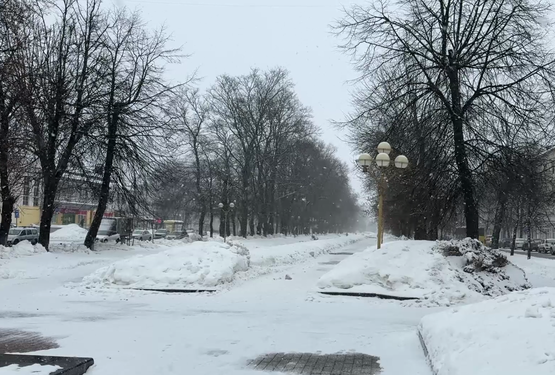Ярославскую область накрыл снегопад