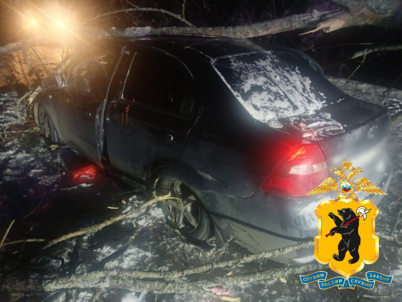 В ДТП с упавшим деревом под Рыбинском пострадала женщина