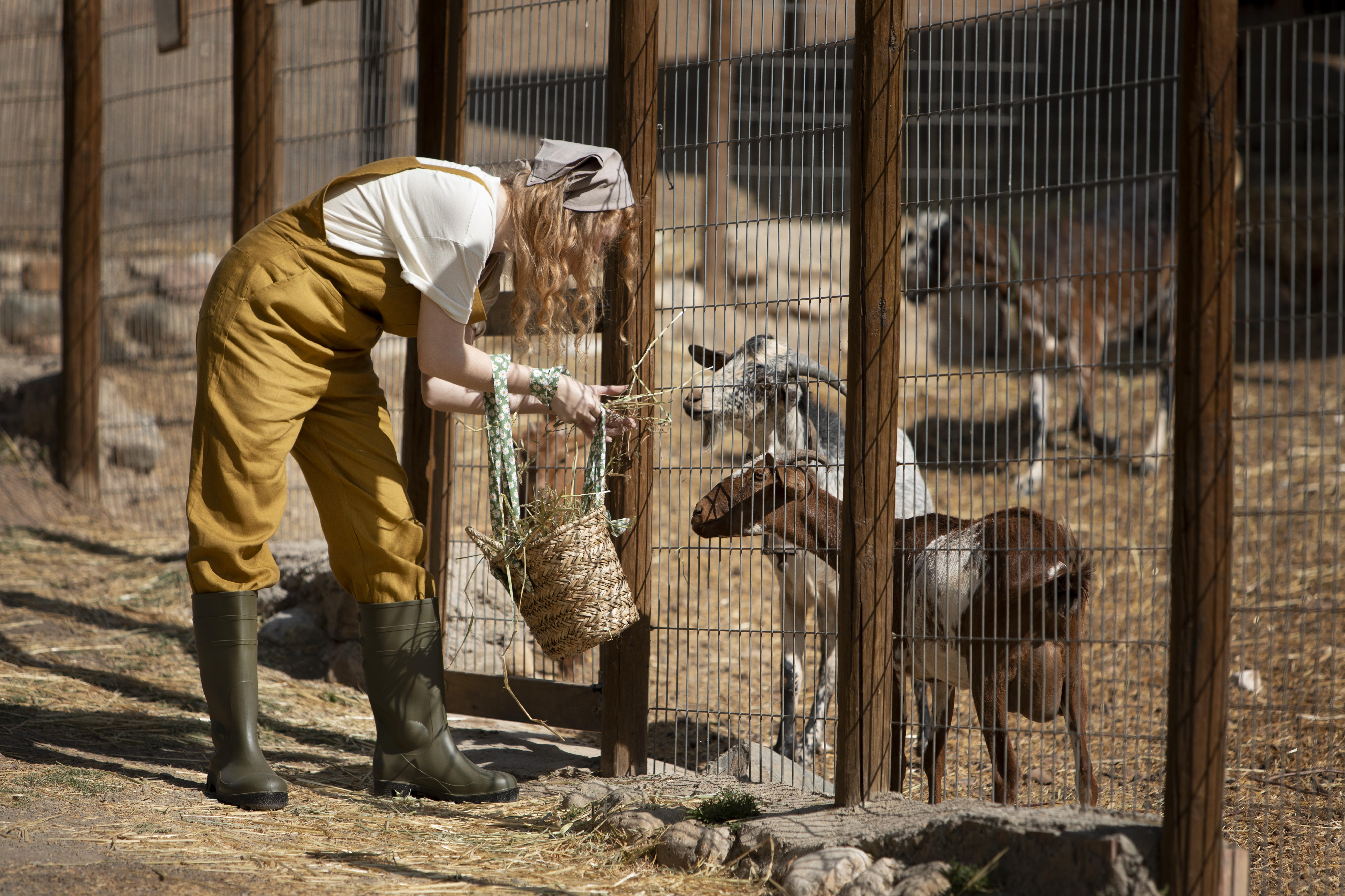 Россельхознадзор заявил об отсутствии бешенства у норки, укусившей ребенка в зоопарке в Вятском