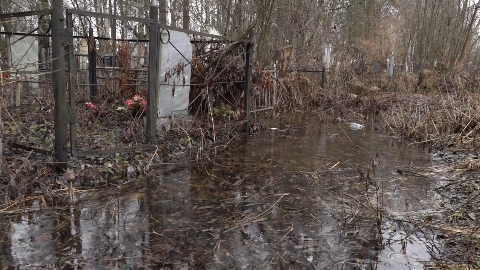 Корреспондент ЯПервого побывала на затопленных ярославских кладбищах