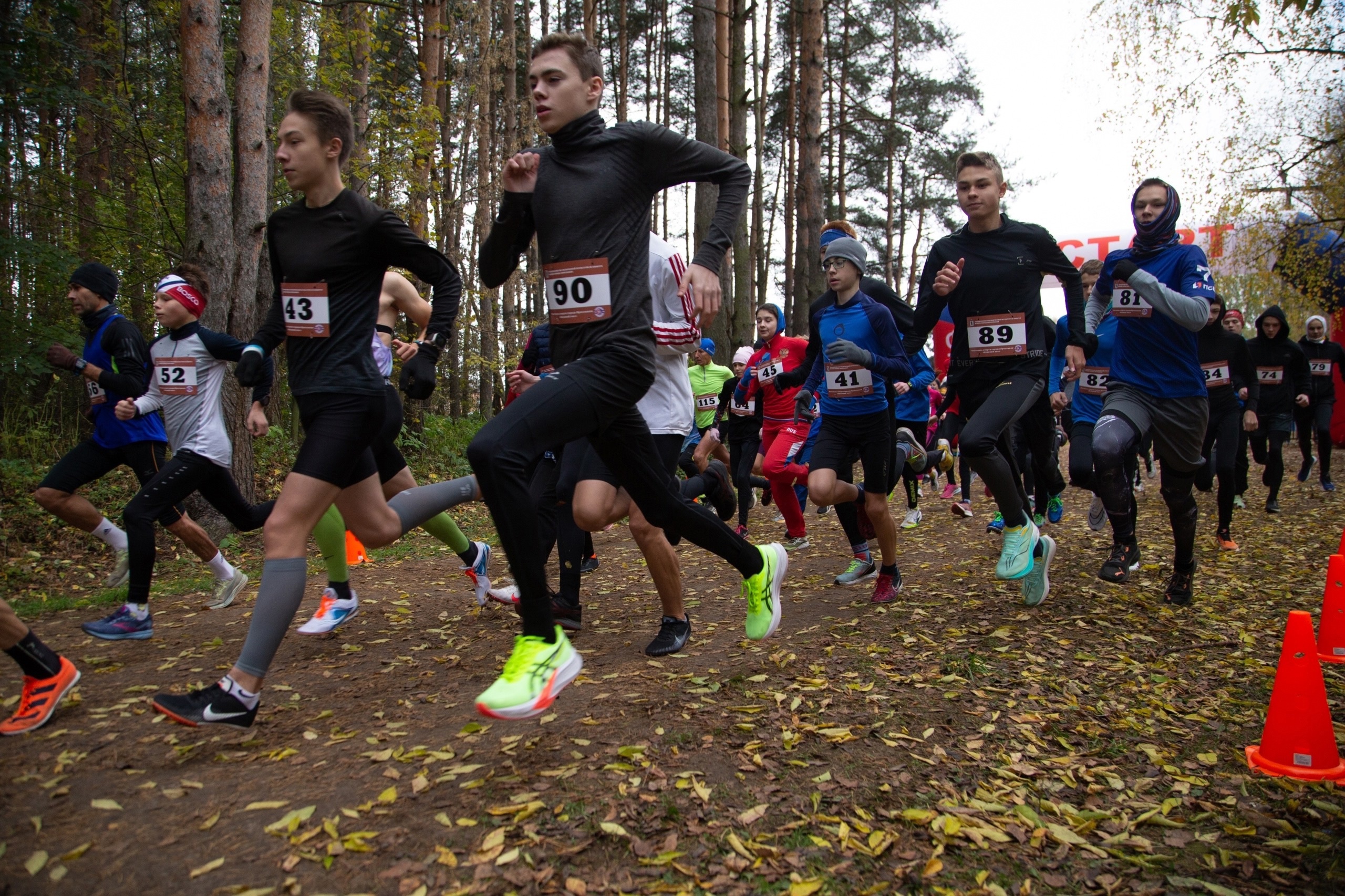 Половина жителей Ярославской области занимается физической культурой и спортом