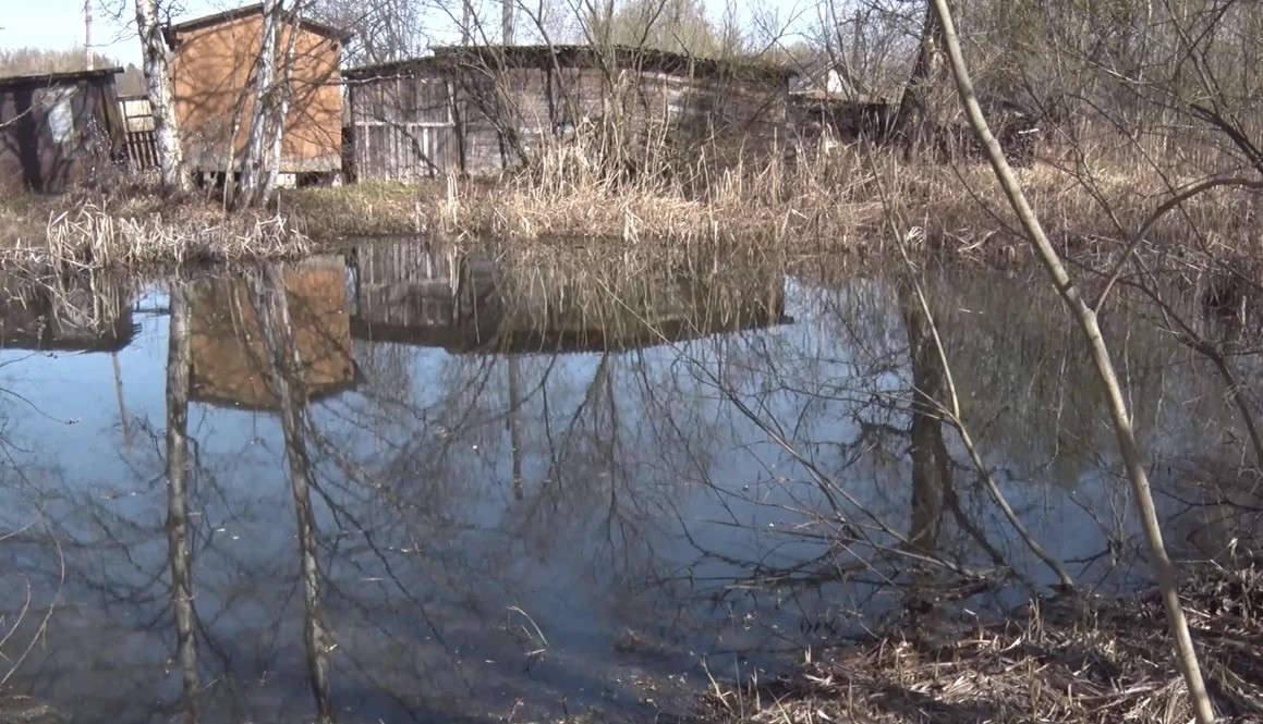 Жители Ярославля пожаловались на загрязнение двух водоемов во Фрунзенском и Заволжском районах